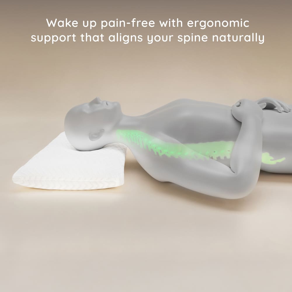 Hisleep Premium Dream Pillow