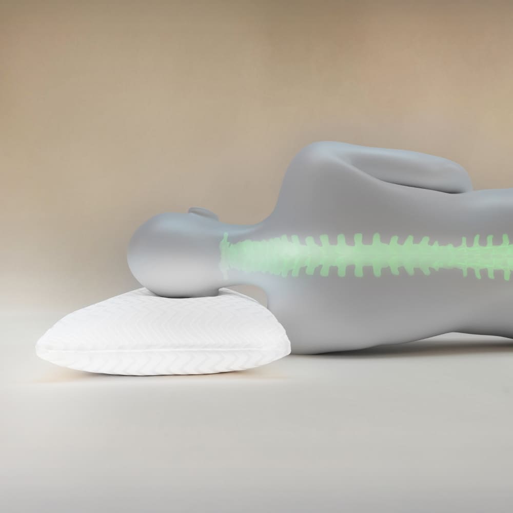 Hisleep Premium Dream Pillow